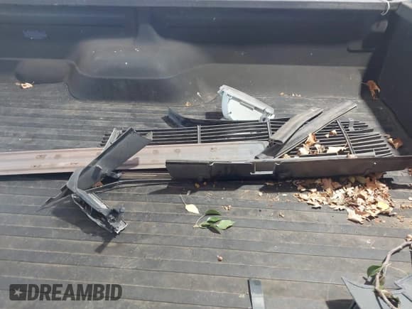 ✅ 1993 Ford F-150 • VIN: 1FTDF15Y8PLA09994 • Лот: 43100585. Опубликован ранее на IAAI с пробегом 248 790 миль. Бесплатный доступ к архиву аукционных продаж из США и подробный отчёт об истории автомобиля на DreamBid. Изображение 12.