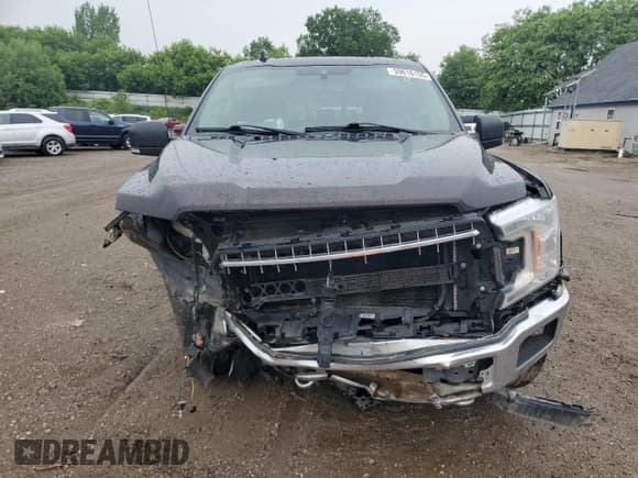 ✅ 2019 Ford F-150 XL • VIN: 1FTEX1EB2KKF31189 • Lot: 59618155. Listed on Copart with 110,245 mi. Free auction sales archive from the USA and detailed vehicle history report at DreamBid. Image 5.