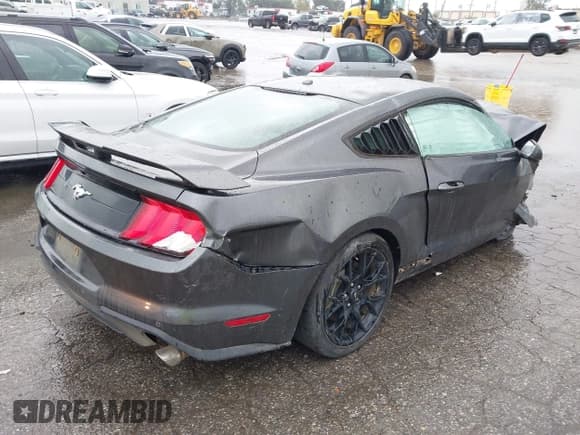 ✅ 2019 Ford Mustang EcoBoost • VIN: 1FA6P8TH3K5118867 • Lot: 43711688. Wystawiony na IAAI z przebiegiem Nie podano. Bezpłatny archiwum sprzedaży aukcyjnych z USA i szczegółowy raport historii pojazdu na DreamBid. Zdjęcie 4.