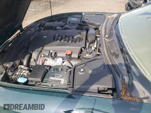 ✅ 2003 Jaguar XK • VIN: SAJDA42C532A36020 • Lot: 60656805. Wystawiony na Copart z przebiegiem 65 020 mil. Bezpłatny archiwum sprzedaży aukcyjnych z USA i szczegółowy raport historii pojazdu na DreamBid. Zdjęcie 11.