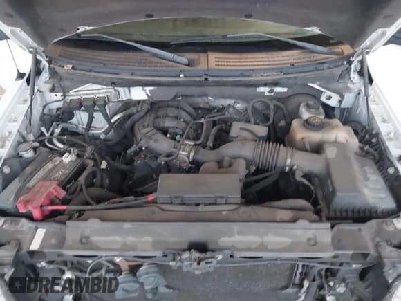 ✅ 2013 Ford F-150 XL • VIN: 1FTMF1CM3DKE88360 • Lot: 43791329. Wystawiony na IAAI z przebiegiem 194 507 mil. Bezpłatny archiwum sprzedaży aukcyjnych z USA i szczegółowy raport historii pojazdu na DreamBid. Zdjęcie 10.