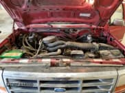 ✅ 1994 Ford F-150 • VIN: 1FTEF14N0RLB54218 • Lot: 57050765. Listed on Copart with 123,580 mi. Free auction sales archive from the USA and detailed vehicle history report at DreamBid. Image 11.