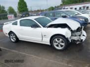 ✅ 2006 Ford Mustang GT Deluxe • VIN: 1ZVFT82H865246421 • Lot: 42007809. Listed on IAAI with 205,896 mi. Free auction sales archive from the USA and detailed vehicle history report at DreamBid. Image 13.