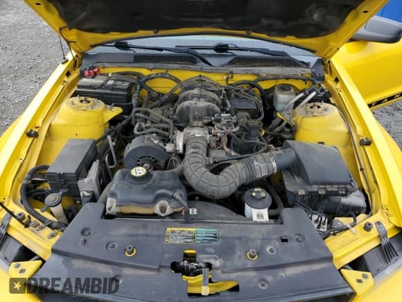 ✅ 2005 Ford Mustang Deluxe • VIN: 1ZVFT80N855104108 • Lot: 59706465. Wystawiony na Copart z przebiegiem 195 070 mil. Bezpłatny archiwum sprzedaży aukcyjnych z USA i szczegółowy raport historii pojazdu na DreamBid. Zdjęcie 11.