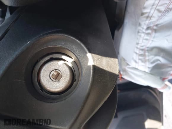 ✅ 2014 Ford Focus SE • VIN: 1FADP3K27EL420850 • Lot: 43610023. Listed on IAAI with Not provided. Free auction sales archive from the USA and detailed vehicle history report at DreamBid. Image 11.