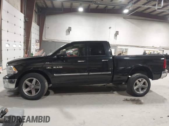 2010 Dodge 1500 SLT with VIN 1D7RV1GT0AS146764, listed as a IAAI auction lot 43547705 with 252,683 mi miles and . Bid and sale history available at DreamBid. Image 14.