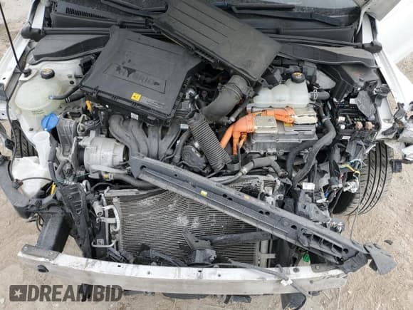 ✅ 2019 Hyundai Ioniq Blue • VIN: KMHC65LC7KU117404 • Lot: 81670344. Wystawiony na Copart z przebiegiem 66 538 mil. Bezpłatny archiwum sprzedaży aukcyjnych z USA i szczegółowy raport historii pojazdu na DreamBid. Zdjęcie 11.