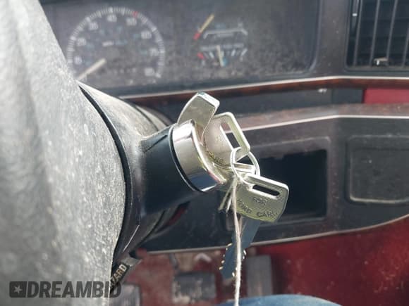 ✅ 1990 Ford F-150 S • VIN: 1FTDF15Y7LNA48686 • Lot: 42365955. Wystawiony na IAAI z przebiegiem 20 540 mil. Bezpłatny archiwum sprzedaży aukcyjnych z USA i szczegółowy raport historii pojazdu na DreamBid. Zdjęcie 11.