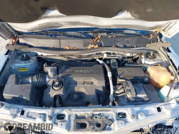 ✅ 2006 Chevrolet Equinox LT • VIN: 2CNDL73F566160856 • Лот: 41379566. Опубликован ранее на IAAI с пробегом 131 438 миль. Бесплатный доступ к архиву аукционных продаж из США и подробный отчёт об истории автомобиля на DreamBid. Изображение 10.