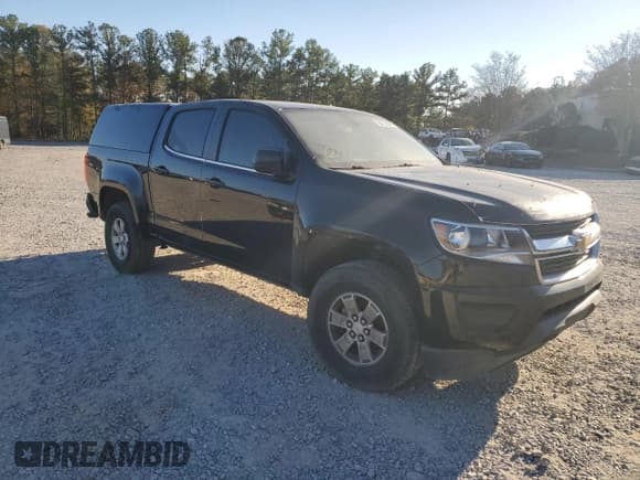 ✅ 2018 Chevrolet Colorado 2WD Work Truck • VIN: 1GCGSBEN1J1132463 • Lot: 91000765. Wystawiony na Copart z przebiegiem 179 236 mil. Bezpłatny archiwum sprzedaży aukcyjnych z USA i szczegółowy raport historii pojazdu na DreamBid. Zdjęcie 4.