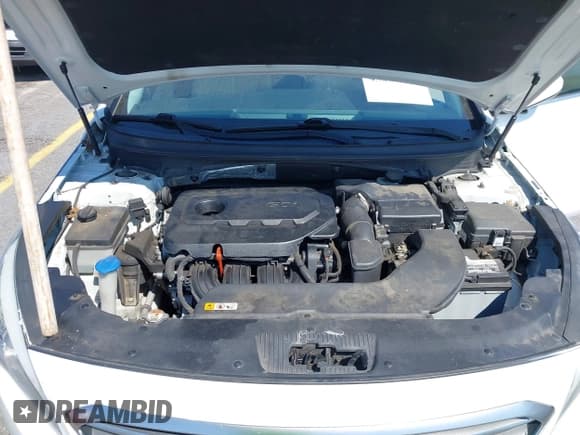 ✅ 2016 Hyundai Sonata SE • VIN: 5NPE24AF2GH337275 • Лот: 43064365. Опубликован ранее на IAAI с пробегом 139 926 миль. Бесплатный доступ к архиву аукционных продаж из США и подробный отчёт об истории автомобиля на DreamBid. Изображение 10.