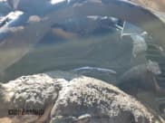 ✅ 2021 Ford Transit Connect XLT • VIN: NM0LS7F21M1505258 • Lot: 58965135. Listed on Copart with Not provided. Free auction sales archive from the USA and detailed vehicle history report at DreamBid. Image 9.