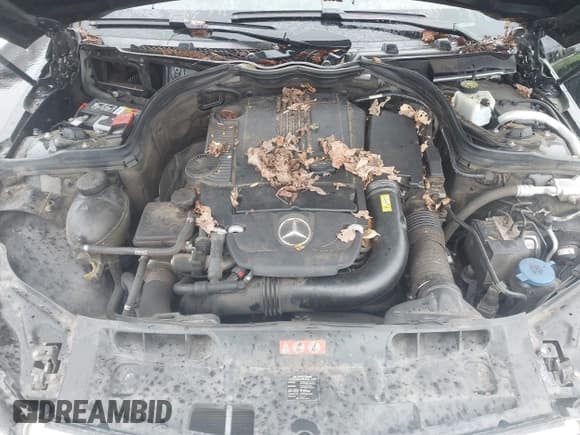 ✅ 2014 Mercedes-Benz C 250 • VIN: WDDGJ4HB5EG289213 • Lot: 42933366. Wystawiony na IAAI z przebiegiem 125 396 mil. Bezpłatny archiwum sprzedaży aukcyjnych z USA i szczegółowy raport historii pojazdu na DreamBid. Zdjęcie 10.