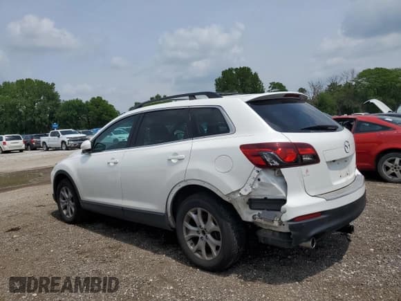 ✅ 2015 Mazda CX-9 Touring • VIN: JM3TB3CA7F0450645 • Лот: 60904815. Опубликован ранее на Copart с пробегом 245 715 миль. Бесплатный доступ к архиву аукционных продаж из США и подробный отчёт об истории автомобиля на DreamBid. Изображение 2.