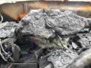 ✅ 2019 Chevrolet Silverado 1500 LT • VIN: 1GCPYDEK1KZ301836 • Lot: 52033504. Wystawiony na Copart z przebiegiem Nie podano. Bezpłatny archiwum sprzedaży aukcyjnych z USA i szczegółowy raport historii pojazdu na DreamBid. Zdjęcie 9.