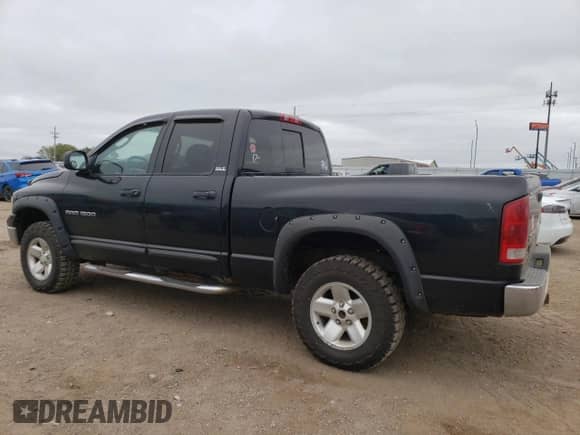 2002 Dodge 1500 with VIN 3D7HU18Z82G124571, listed as a Copart auction lot 65449724 with 228,926 mi miles and Salvage title. Bid and sale history available at DreamBid. Image 2.