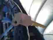 ✅ 1985 Chevrolet Silverado 1500 • VIN: 2GCDC14H2F1166502 • Lot: 43124916. Wystawiony na IAAI z przebiegiem 71 653 mil. Bezpłatny archiwum sprzedaży aukcyjnych z USA i szczegółowy raport historii pojazdu na DreamBid. Zdjęcie 11.