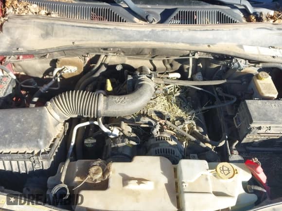 ✅ 2008 Dodge Nitro SXT • VIN: 1D8GU28K28W248197 • Lot: 43591456. Wystawiony na IAAI z przebiegiem 217 461 mil. Bezpłatny archiwum sprzedaży aukcyjnych z USA i szczegółowy raport historii pojazdu na DreamBid. Zdjęcie 10.