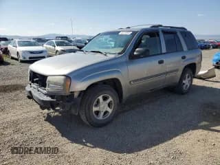 ✅ 2002 Chevrolet TrailBlazer LS • VIN: 1GNDT13S222268770 • Лот: 65316065. Опубликован ранее на Copart с пробегом 181 930 миль. Бесплатный доступ к архиву аукционных продаж из США и подробный отчёт об истории автомобиля на DreamBid. Изображение 1.