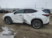 ✅ 2023 Lexus NX 350 Premium • VIN: 2T2GGCEZ8PC026876 • Lot: 46683055. Listed on Copart with 52,587 mi. Free auction sales archive from the USA and detailed vehicle history report at DreamBid. Image 2.