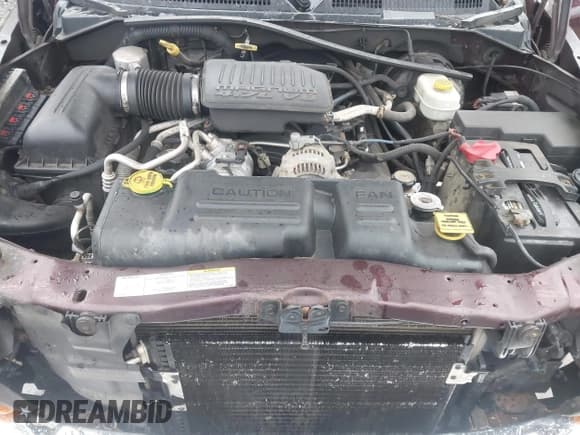 ✅ 2004 Dodge Dakota SLT • VIN: 1D7HG48N04S718220 • Lot: 42258803. Wystawiony na IAAI z przebiegiem 250 757 mil. Bezpłatny archiwum sprzedaży aukcyjnych z USA i szczegółowy raport historii pojazdu na DreamBid. Zdjęcie 10.