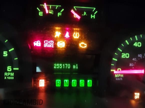 ✅ 2014 Ford Econoline Passenger XL • VIN: 1FBNE3BL9EDB01008 • Lot: 42231120. Listed on IAAI with 255,170 mi. Free auction sales archive from the USA and detailed vehicle history report at DreamBid. Image 7.