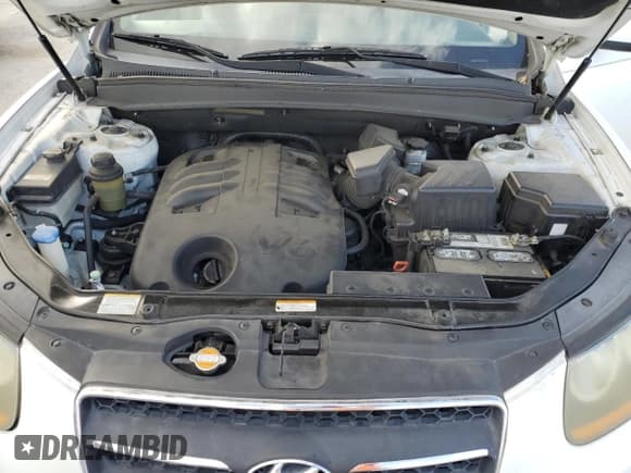 ✅ 2009 Hyundai Santa Fe Limited • VIN: 5NMSH13E09H298920 • Lot: 80206294. Listed on Copart with 183,289 mi. Free auction sales archive from the USA and detailed vehicle history report at DreamBid. Image 12.