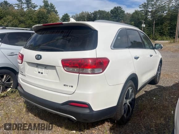 ✅ 2017 Kia Sorento EX • VIN: 5XYPHDA56HG270770 • Lot: 43248963. Listed on IAAI with 123,753 mi. Free auction sales archive from the USA and detailed vehicle history report at DreamBid. Image 4.