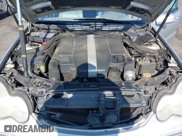 ✅ 2002 Mercedes-Benz C 230/260/280/320 • VIN: WDBRF61J62F233802 • Lot: 42574637. Wystawiony na IAAI z przebiegiem 238 810 mil. Bezpłatny archiwum sprzedaży aukcyjnych z USA i szczegółowy raport historii pojazdu na DreamBid. Zdjęcie 10.