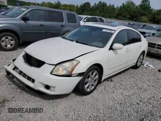 ✅ 2008 Nissan Maxima SE • VIN: 1N4BA41E68C801703 • Лот: 71261864. Опубликован ранее на Copart с пробегом 256 018 миль. Бесплатный доступ к архиву аукционных продаж из США и подробный отчёт об истории автомобиля на DreamBid. Изображение 1.