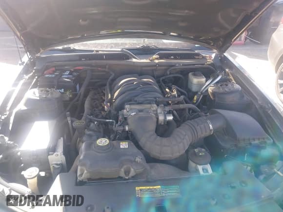 ✅ 2007 Ford Mustang GT Deluxe • VIN: 1ZVHT85H475351625 • Lot: 40863228. Wystawiony na IAAI z przebiegiem 147 376 mil. Bezpłatny archiwum sprzedaży aukcyjnych z USA i szczegółowy raport historii pojazdu na DreamBid. Zdjęcie 10.