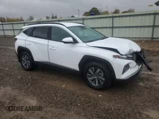 2024 Hyundai Tucson Blue with VIN KM8JBCD13RU195077, listed as a Copart auction lot 82381285 with 20,867 mi miles and Salvage title. Bid and sale history available at DreamBid. Image 4.