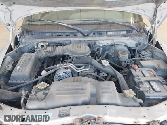 ✅ 2000 Dodge Dakota Sport • VIN: 1B7GL2AX9YS646909 • Lot: 42967254. Listed on IAAI with 251,189 mi. Free auction sales archive from the USA and detailed vehicle history report at DreamBid. Image 10.