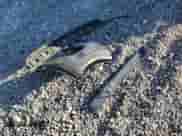 2019 Hyundai Tucson SEL z VIN KM8J33AL3KU897330, wystawiony jako Copart lot #84589965 z przebiegiem 66 250 mil mil oraz Szkoda całkowita • Salvage title. Historia ofert i sprzedaży dostępna na DreamBid. Obrazek 13.