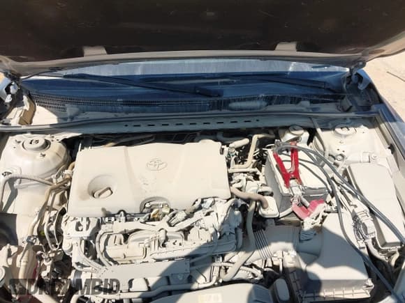 ✅ 2022 Toyota Camry SE • VIN: 4T1T11AK7NU644056 • Lot: 42818013. Listed on IAAI with 34,874 mi. Free auction sales archive from the USA and detailed vehicle history report at DreamBid. Image 10.