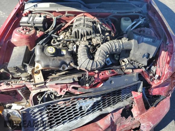 ✅ 2006 Ford Mustang Standard • VIN: 1ZVFT80N365234931 • Лот: 90088265. Опубликован ранее на Copart с пробегом 127 720 миль. Бесплатный доступ к архиву аукционных продаж из США и подробный отчёт об истории автомобиля на DreamBid. Изображение 11.