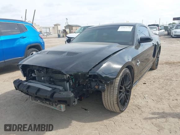 ✅ 2010 Ford Mustang GT500 • VIN: 1ZVBP8JS9A5130203 • Лот: 42064720. Опубликован ранее на IAAI с пробегом 32 461 миль. Бесплатный доступ к архиву аукционных продаж из США и подробный отчёт об истории автомобиля на DreamBid. Изображение 6.