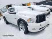 ✅ 2010 Dodge 1500 Sport • VIN: 1D7RV1CT9AS220236 • Lot: 87943885. Wystawiony na Copart z przebiegiem 193 575 mil. Bezpłatny archiwum sprzedaży aukcyjnych z USA i szczegółowy raport historii pojazdu na DreamBid. Zdjęcie 4.