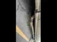 2020 Chevrolet Silverado 1500 LT z VIN 1GCUYDED7LZ103350, wystawiony jako IAAI lot #42532688 z przebiegiem 114 268 mil mil oraz . Historia ofert i sprzedaży dostępna na DreamBid. Obrazek 1.