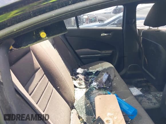 ✅ 2013 Dodge Charger Police • VIN: 2C3CDXAT3DH548339 • Лот: 39258219. Опубликован ранее на IAAI с пробегом 135 106 миль. Бесплатный доступ к архиву аукционных продаж из США и подробный отчёт об истории автомобиля на DreamBid. Изображение 8.