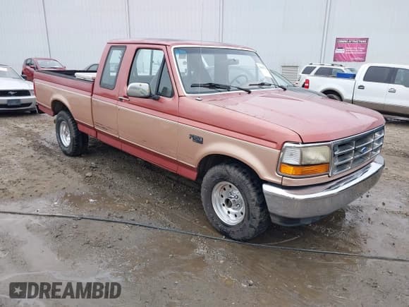 ✅ 1994 Ford F-150 • VIN: 1FTEX15N9RKB01017 • Lot: 43853753. Listed on IAAI with Not provided. Free auction sales archive from the USA and detailed vehicle history report at DreamBid. Image 1.