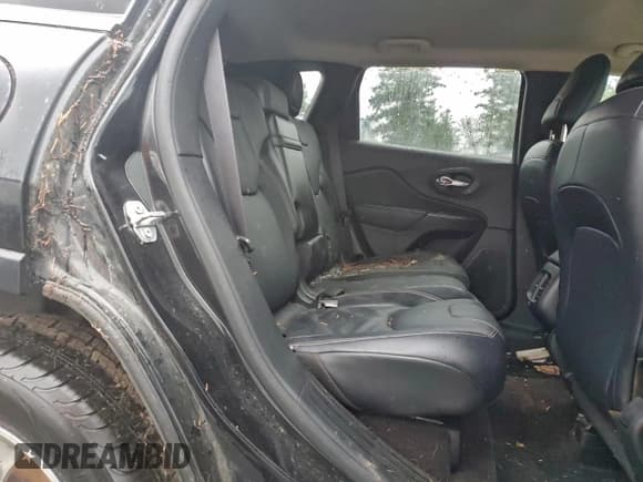 ✅ 2016 Jeep Cherokee Limited • VIN: 1C4PJMDB7GW280070 • Lot: 96229695. Wystawiony na Copart z przebiegiem Nie podano. Bezpłatny archiwum sprzedaży aukcyjnych z USA i szczegółowy raport historii pojazdu na DreamBid. Zdjęcie 11.