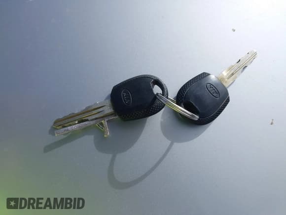 ✅ 2008 Kia Rio LX • VIN: KNADE123886396510 • Lot: 43677271. Wystawiony na IAAI z przebiegiem 47 243 mil. Bezpłatny archiwum sprzedaży aukcyjnych z USA i szczegółowy raport historii pojazdu na DreamBid. Zdjęcie 11.