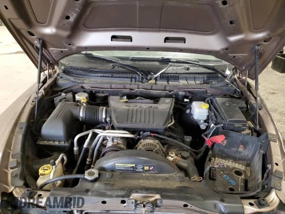 2010 Dodge Dakota SXT z VIN 1D7CW3GP2AS104212, wystawiony jako Copart lot #44062435 z przebiegiem 203 233 mil mil oraz Czysty tytuł • Clean title. Historia ofert i sprzedaży dostępna na DreamBid. Obrazek 11.