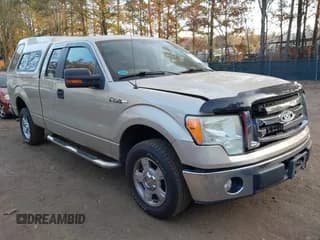 ✅ 2010 Ford F-150 XL • VIN: 1FTEX1C80AFB76120 • Lot: 43683659. Listed on IAAI with 267,229 mi. Free auction sales archive from the USA and detailed vehicle history report at DreamBid. Image 1.