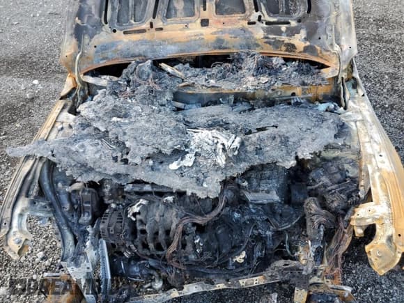 ✅ 2024 Hyundai Elantra SE • VIN: KMHLL4DG6RU825562 • Lot: 82292345. Listed on Copart with Not provided. Free auction sales archive from the USA and detailed vehicle history report at DreamBid. Image 11.