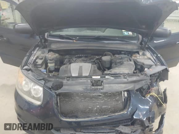 ✅ 2012 Hyundai Santa Fe GLS • VIN: 5XYZGDAG2CG096251 • Lot: 43510082. Listed on IAAI with 160,994 mi. Free auction sales archive from the USA and detailed vehicle history report at DreamBid. Image 10.