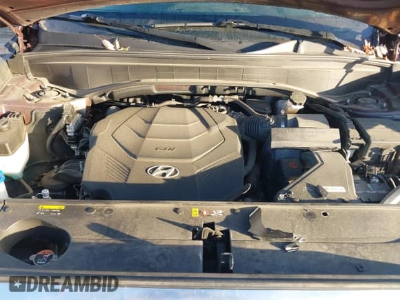 ✅ 2020 Hyundai Palisade SEL • VIN: KM8R4DHE6LU086751 • Lot: 43625342. Listed on IAAI with 48,329 mi. Free auction sales archive from the USA and detailed vehicle history report at DreamBid. Image 10.