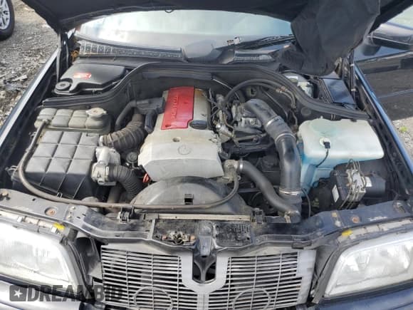 ✅ 1999 Mercedes-Benz C 230/260/280/320 • VIN: WDBHA24GXXA774908 • Lot: 64657925. Wystawiony na Copart z przebiegiem Nie podano. Bezpłatny archiwum sprzedaży aukcyjnych z USA i szczegółowy raport historii pojazdu na DreamBid. Zdjęcie 11.