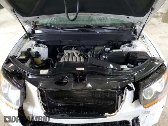 ✅ 2009 Hyundai Santa Fe GLS • VIN: 5NMSG13D89H248048 • Lot: 78258324. Listed on Copart with 261,583 mi. Free auction sales archive from the USA and detailed vehicle history report at DreamBid. Image 12.